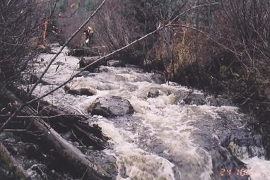 Photo 10: Rebman Creek Site 5: view upstream