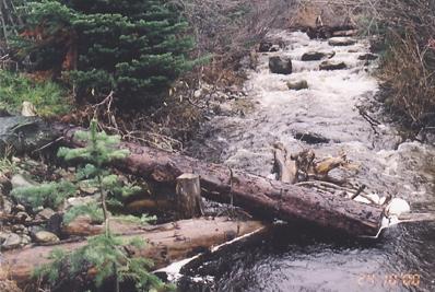 Photo 11: Rebman Creek Site 6: view upstream