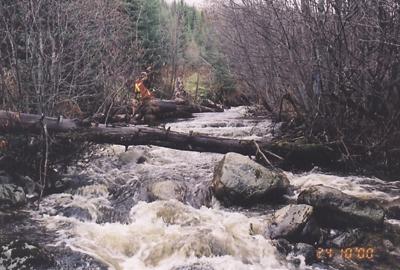Photo 16: Rebman Creek Site 8: view upstream