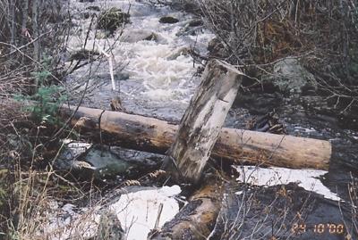 Photo 21: Rebman Creek Site 11: view upstream