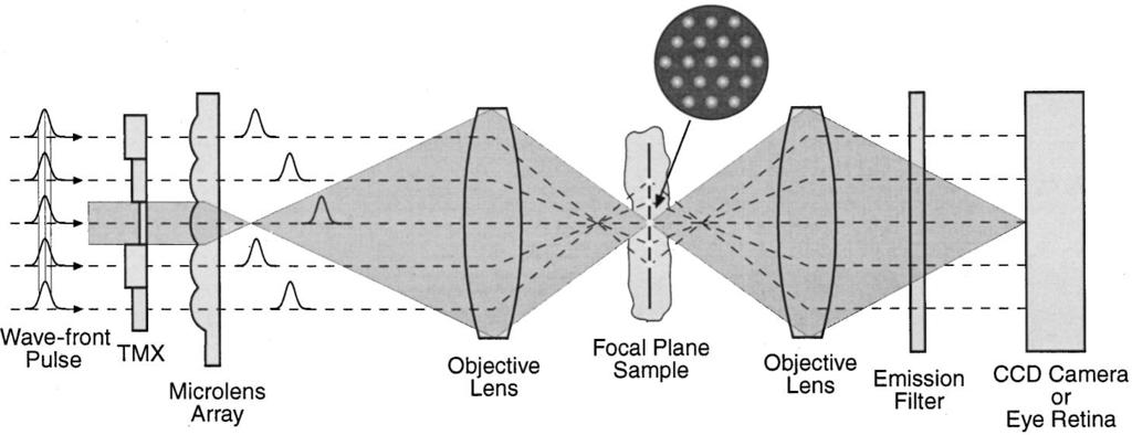 A. Egner and S. W. Hell Vol. 17, No. 7/July 2000/J. Opt. Soc. Am. A 1193 corresponds to an image of a conventional microscope.