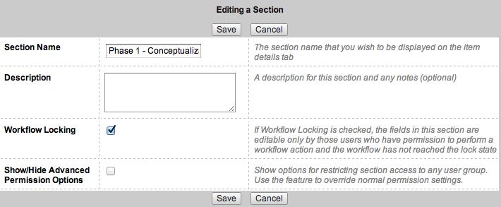 3. The Editing a Section dialog is displayed. Turn on the Workflow Locking check box. This will lock editing of the fields in relation to the workflow.