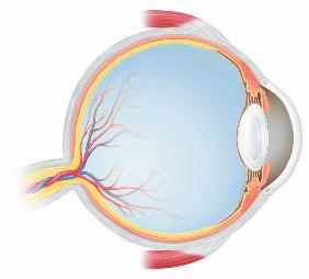 Concave Lenses A lens that is thicker at the edges than in the middle is a concave lens. A concave lens also is called a diverging lens.