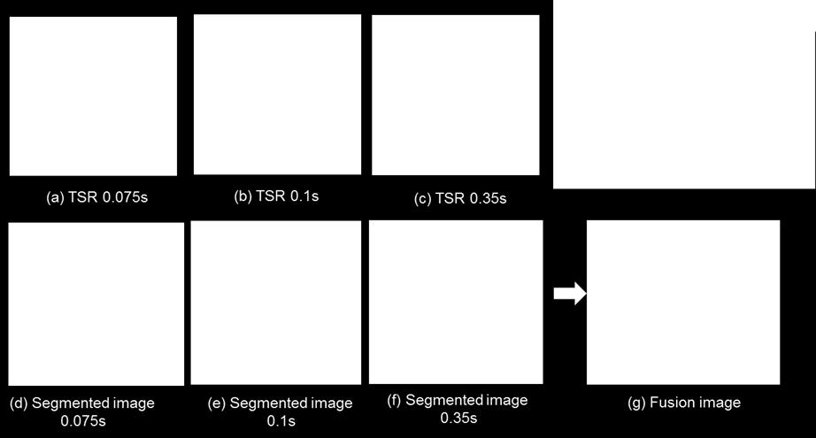 The 1 st derivative images (front side inspection) at different times obtained by TSR and corresponding automatically