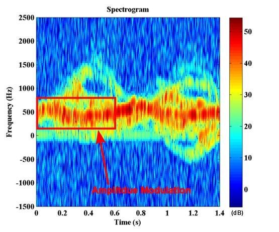 spectrogram showing this amplitude modulation is seen in Fig.