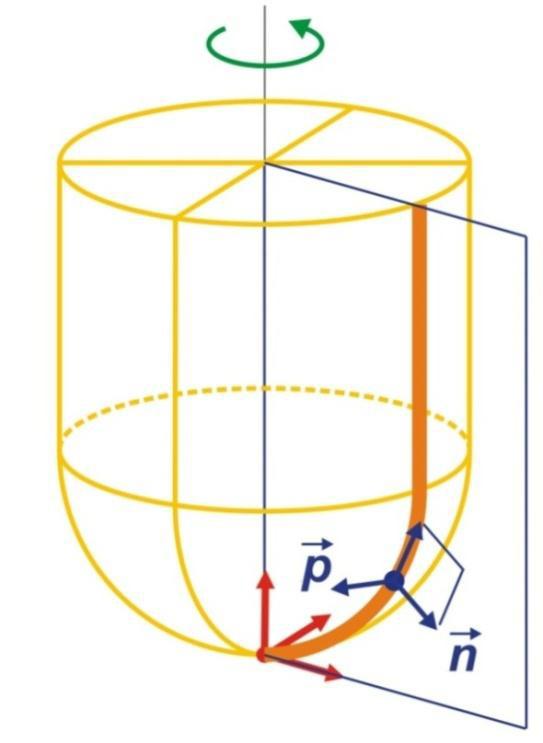 giving segment orientation (Figure 2b).