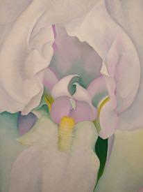 Georgia O Keeffe (1887-1986) White Iris,