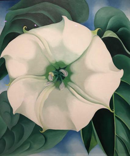 Georgia O Keeffe (1887-1986) Jimson Weed/White Flower No.
