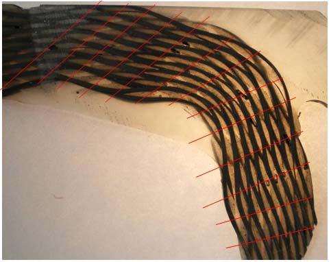 13, it can be noticed the difference of paths between the warp yarn due to the inner shear of the total structure and the different tension resulting from the inter-ply slip mode. In Fig.
