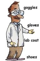 Introduction to the Compound Microscope Cell Structure & Function Revised Fall 2018 Laboratory Safety Lab coat, long pants, closed-toe shoes, safety goggles, and nitrile or latex gloves are required.