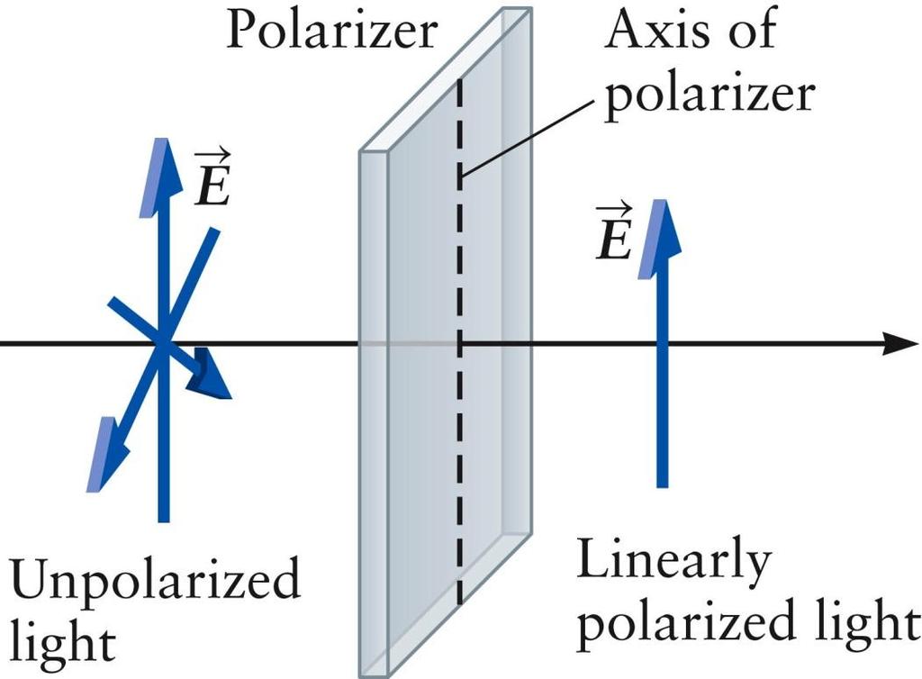 Polarizers Polarized light can be created using a polarizer The type of polarizer shown consists of a thin, plastic film that allows an em