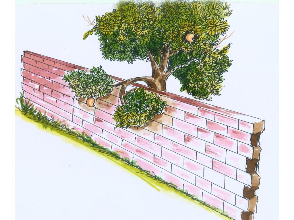 PROBLEM 15 :- Two mangos on a tree A & B are 1.5 m and 3.00 m above ground and those are 1.2 m & 1.5 m from a 0.3 m thick wall but on opposite sides of it.
