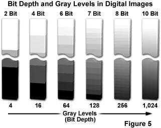 Number of bits per pixel. Wrap-up: Image Bit Depth Image from: http://micro.magnet.fsu.