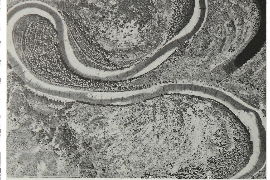 I I Vt /^er/a/ photograph of meander bends on the highly sinuous Beatton River, British Columbia.