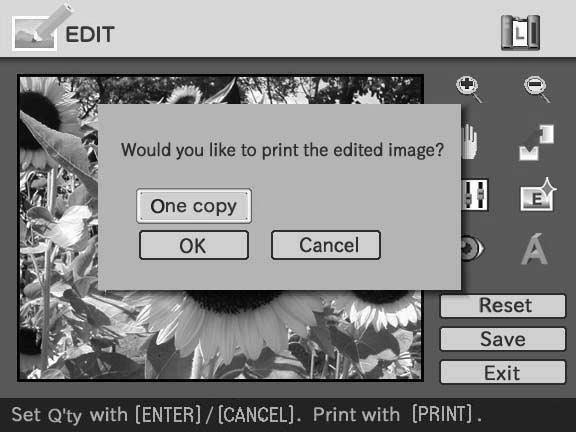 Resetting the editing You can remove editing done in the EDIT window and reset the edited image to its original status. 1 Press the arrow (B/b/V/v) button to select Reset and press ENTER.