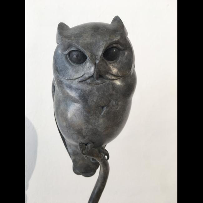 Adam Binder Scops owl 52 cm 13 cm