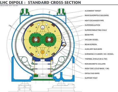 Cryo-magnet cross sections
