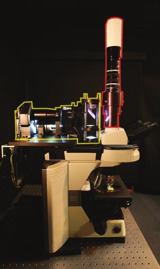Combined light field microscope (LFM) and light field illuminator (LFI) [To appear in Journal of Microscopy, 2009] applications: exotic microscope illumination reducing scattering using
