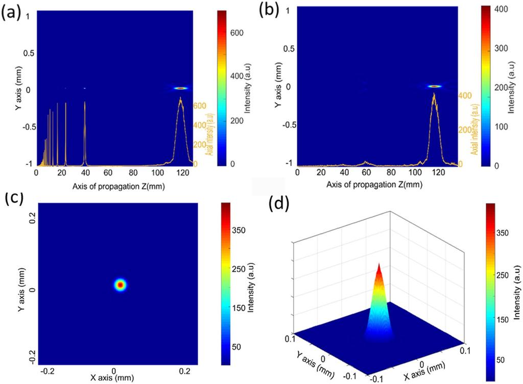 Intensity distribution and axial intensity along the axis of propagation of (a) 0 and (b) 8 sector GZP lens with 53 nm incident light, (c) focal plane of 8 sector GZP lens, and (d) 3D image of (c).