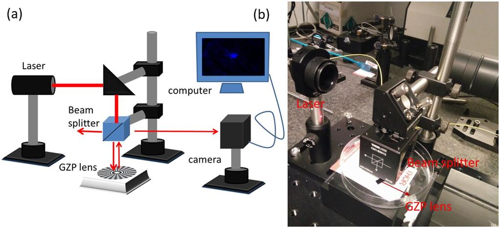 www.nature.com/scientificreports/ Figure 5. Optical characterization of GZP lenses. (a) Schematic and (b) photo of the experimental setup for optical measurement. Figure 6.