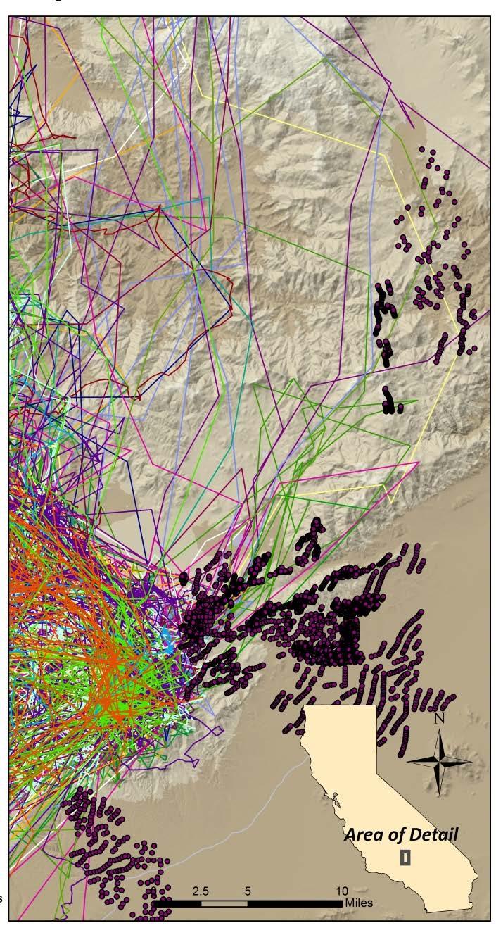Tehachapi Wind Resource Area 27 different condors detected perched/flying within