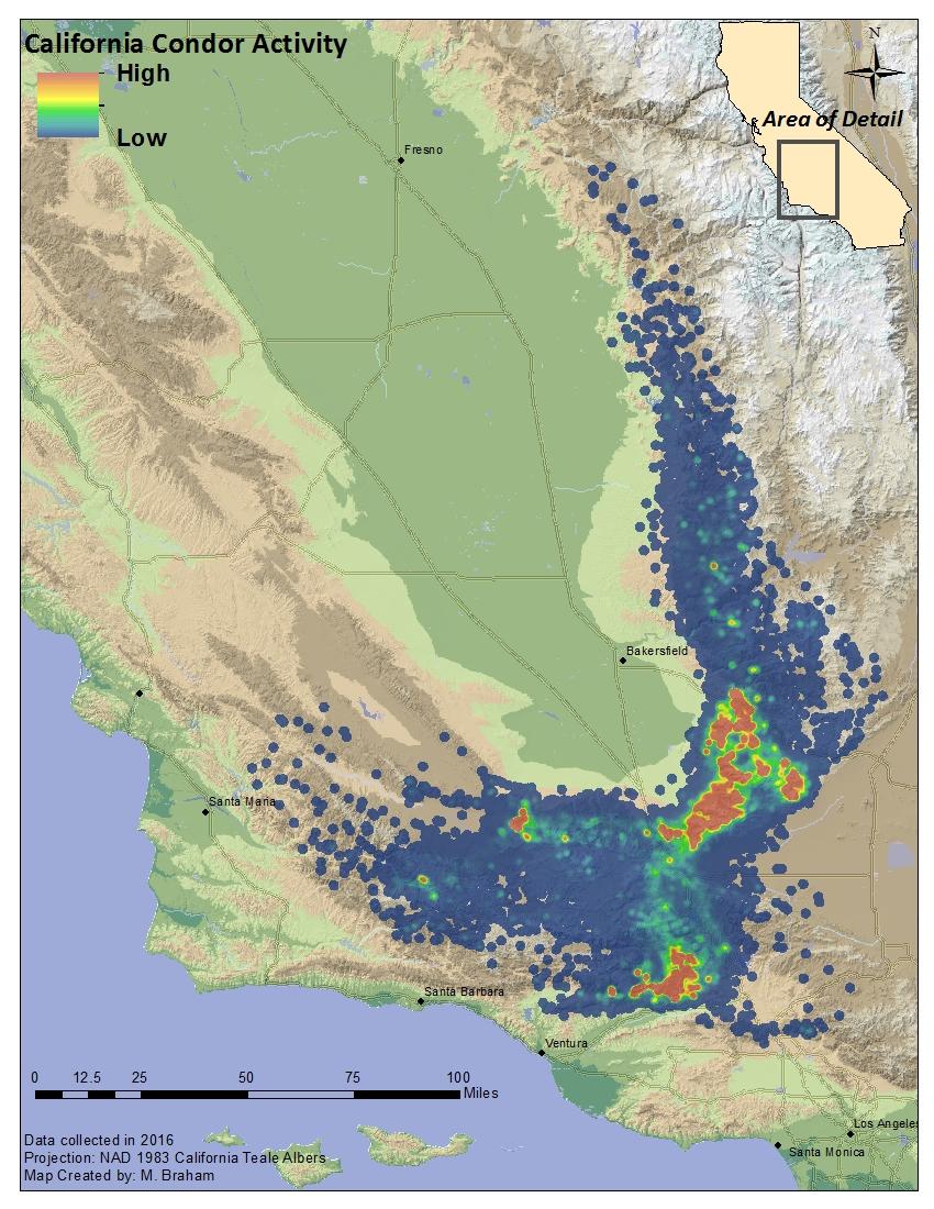 So. California flock movements Trapping/tracking efforts In 2016 trapped 66 of 77 (86%) condors targeted Currently 96% of birds wearing