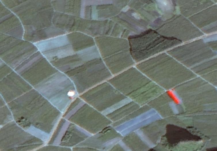 (a)multispectral Image (d) Panchromatic Backward Image Figure 3. Comparisons of sugarcane crop in ZY-3 TLC images 3.