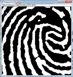 image 1. Open fingerprint.