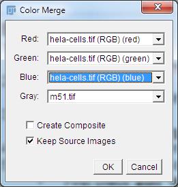 WORKING WITH RGB IMAGES Goal: Understanding and managing multiple channels on