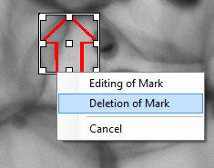You can also right click on the mark and select [Editing of Mark] from the pop-up menu. The [Select Mark] dialog box appears.