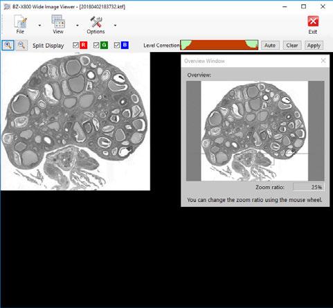 Operating Wide Image Viewer The Wide Image Viewer displays large, high-resolution merged images.