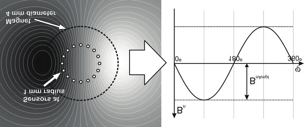 Fig. 26: Distribution of B n and its modulation if the magnet is rotated through 360 Parameter Symbol Min. Typ. Max.
