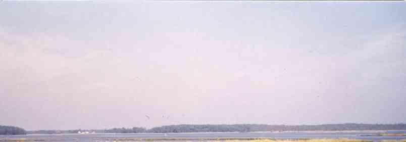 1980s Wetland