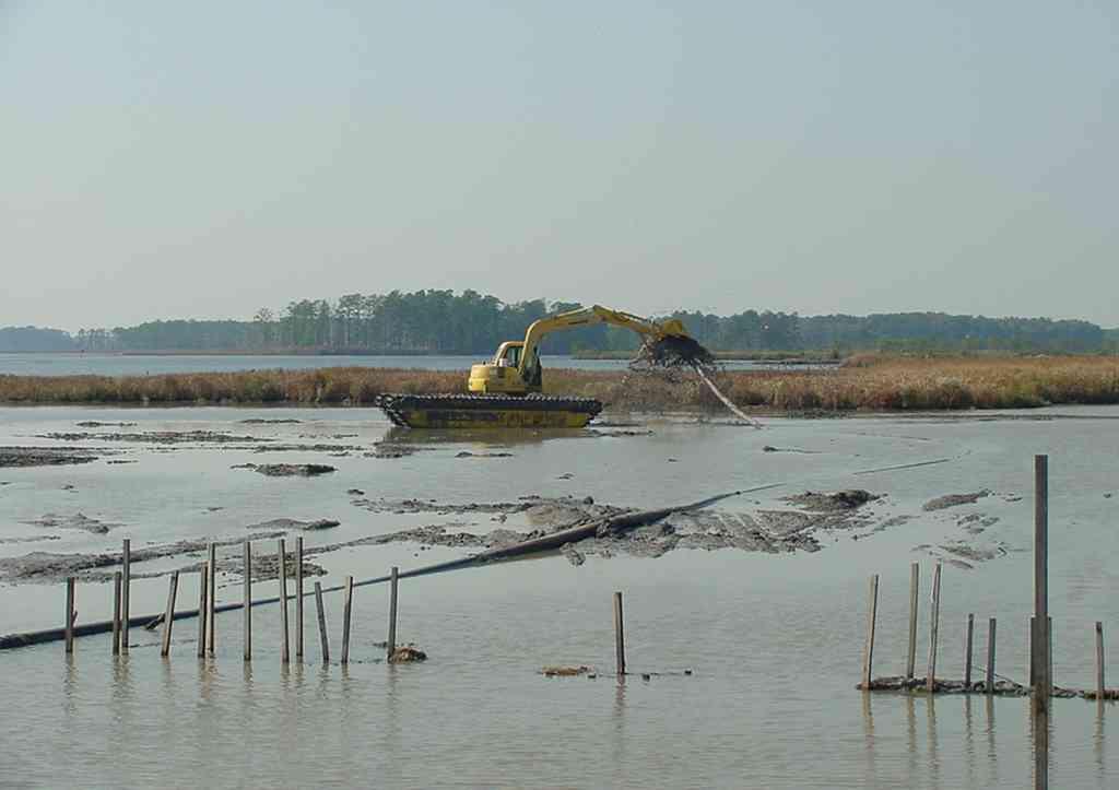 Future Wetland Restoration Benefits 1. Ecosystem and Environmental Restoration 2.