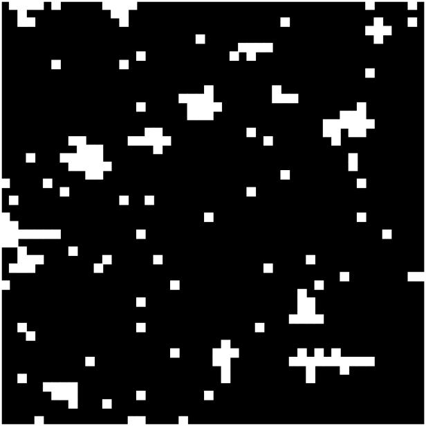 Using this target shape, the algorithm successfully evolved tile sets that