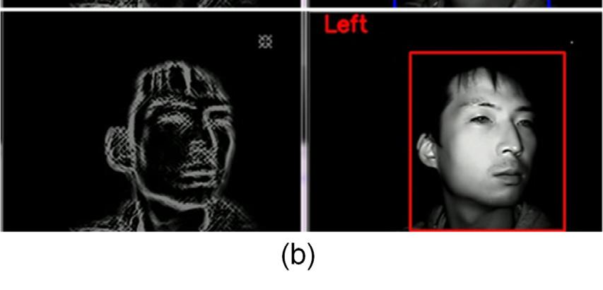7(a), the head movement direction could be determined as left, right, and front direction, and Fig. 7(b) shows how much the eye is closed.