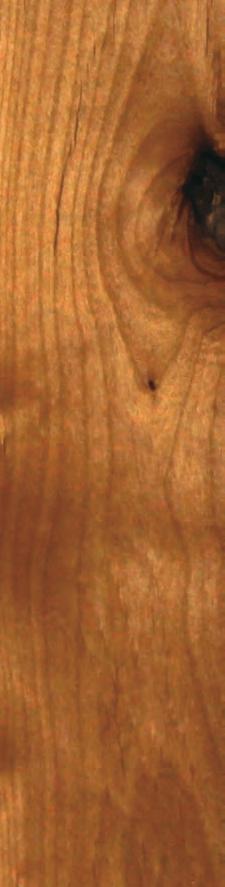 Cypress Knotty