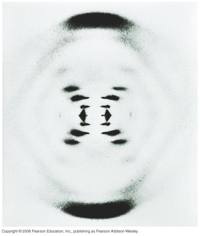 X-Ray Diffraction X-Ray Diffraction has been very useful in exploring the crystalline structure of solids and structures of organic molecules Rosalind Franklin