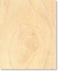 The sapwood is a creamy white with dull pinkish brown heartwood with dark streaks. The heartwood is sold as Red Gum while the sapwood is sold as Sap Gum.