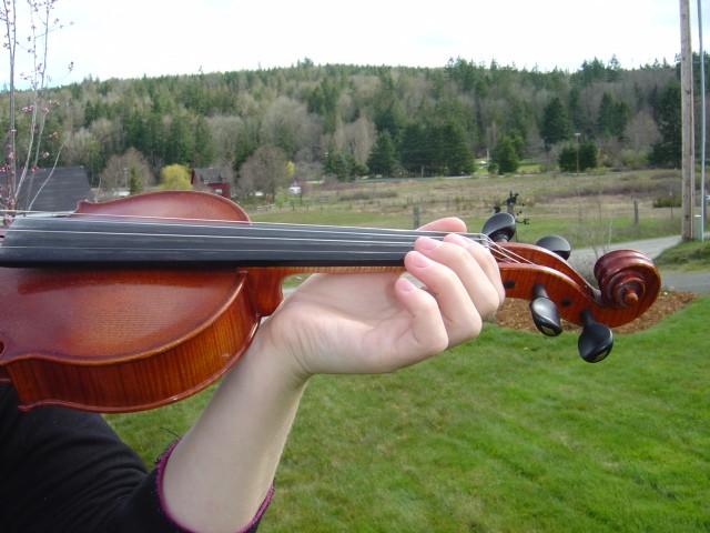 will impress everyone with your beautiful violin playing! Now I am going to give you some examples of common left hand errors.