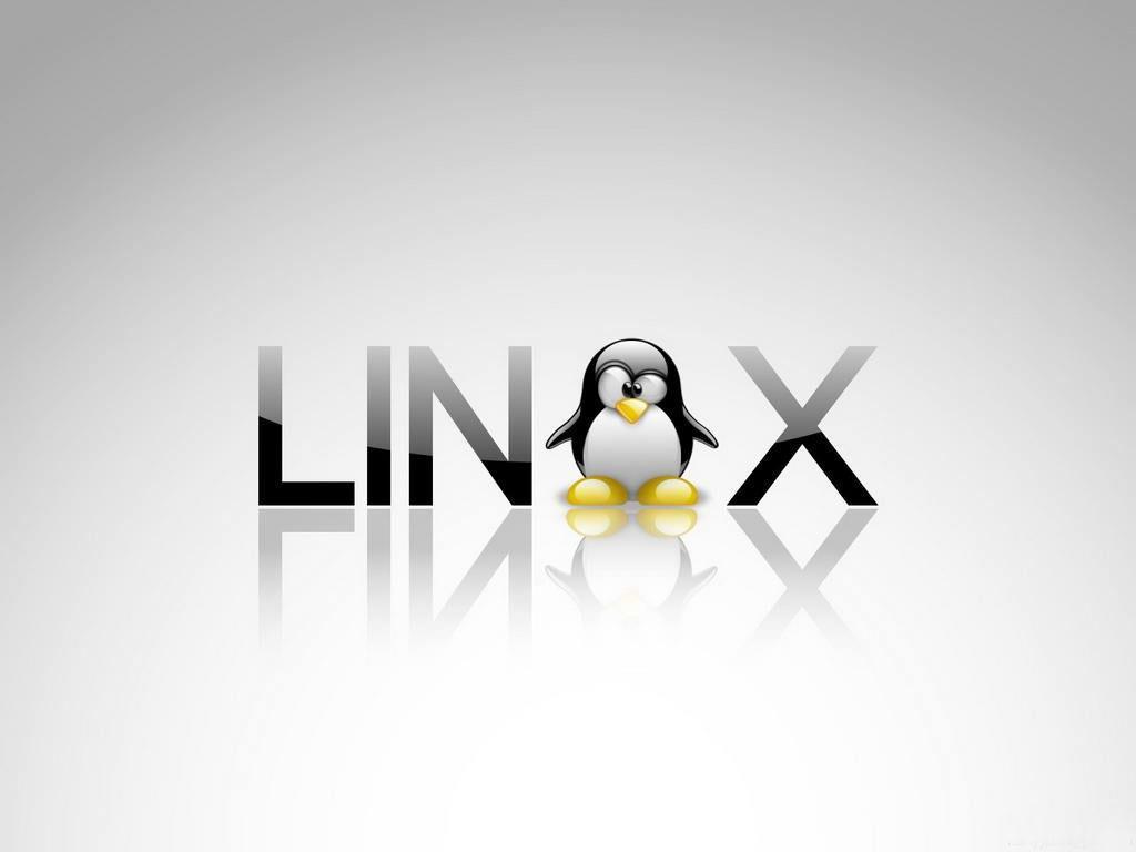 How to: Install Linux Why should I use Linux? What is EXT4?