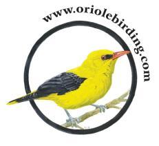 ORIOLE BIRDING TOUR REPORT STRAIT