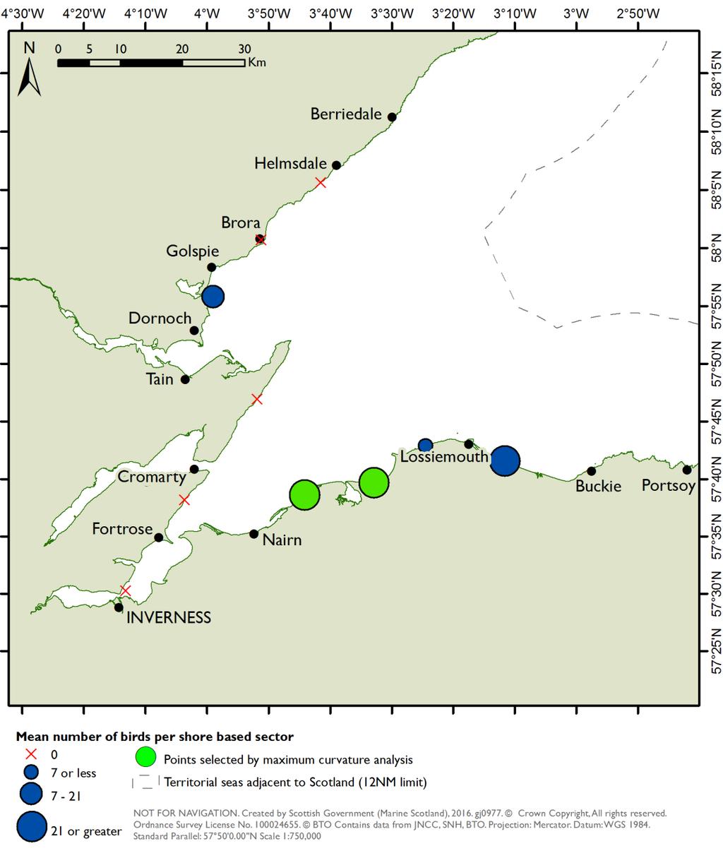 Figure 8. The distribution of velvet scoter in the Moray Firth pspa.