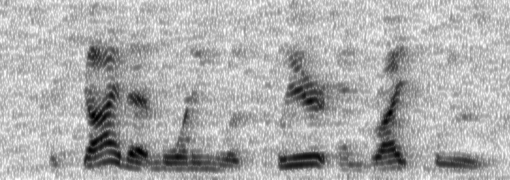 As a result, ModSpecSub stimuli do not suffer from the musical noise audible in SpecSub stimuli. This can be seen by comparing spectrograms in Fig. (c) and Fig. (d).