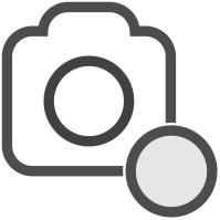 Follow the instructions to experiment with the options in the Filter Gallery to create at least four unique images. You will save the pictures into a Filtered Pictures folder.