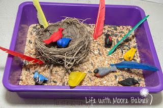 Google eyes What You Do: Glue the Easter Grass onto the coffee filter and it makes a cute bird nest. The children can use the pompoms/feathers to create birds.