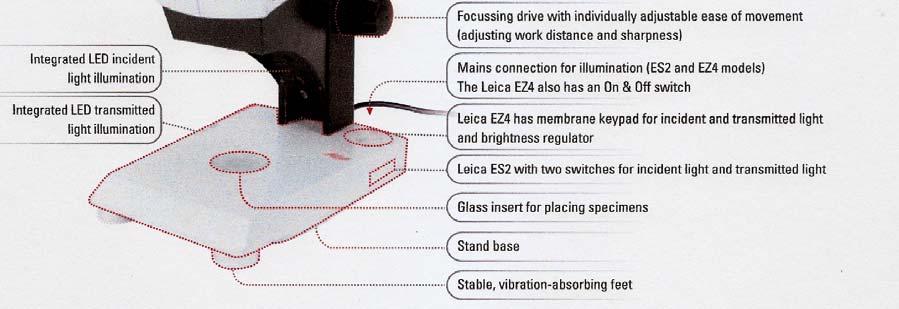 These scopes can light the specimen from above and below allowing the user to have increased flexibility in making their observations.