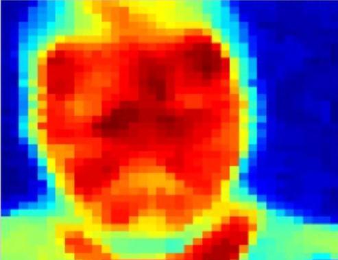 Figure 6.11 (a) shows thermograms of a portrait as produced with the interferometric readout.