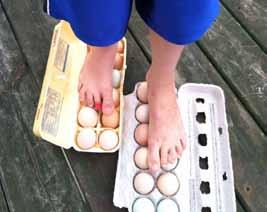 - Two dozen eggs in the cartons Step 1: Make sure all your eggs are facing the same way in the carton - the large rounded end should be on the bottom of the