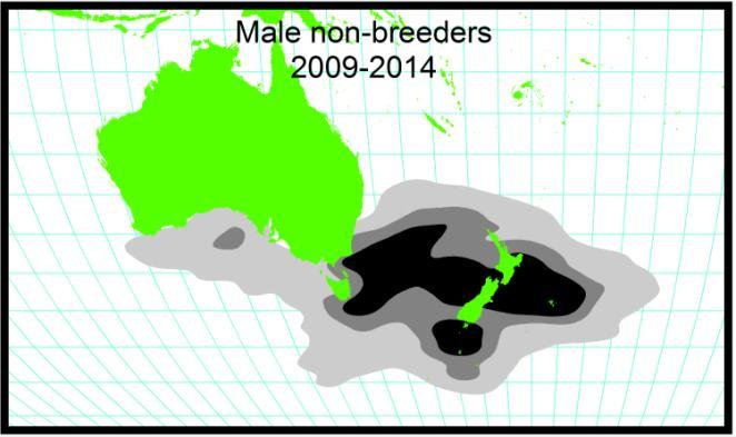 (Walker & Elliott 2006) (Table 4). Table 4: Gibson s wandering albatross tracked by satellite between 1994 and 2003.